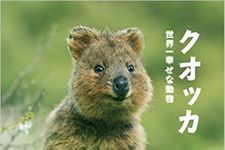 これはリアル「ピカチュウ」か！？　笑顔を浮かべる動物「クオッカ」が可愛い