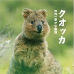 これはリアル「ピカチュウ」か！？　笑顔を浮かべる動物「クオッカ」が可愛い