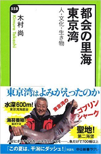 水質は改善しても魚は増えない… 「東京湾」に豊かな生態系を作るには?