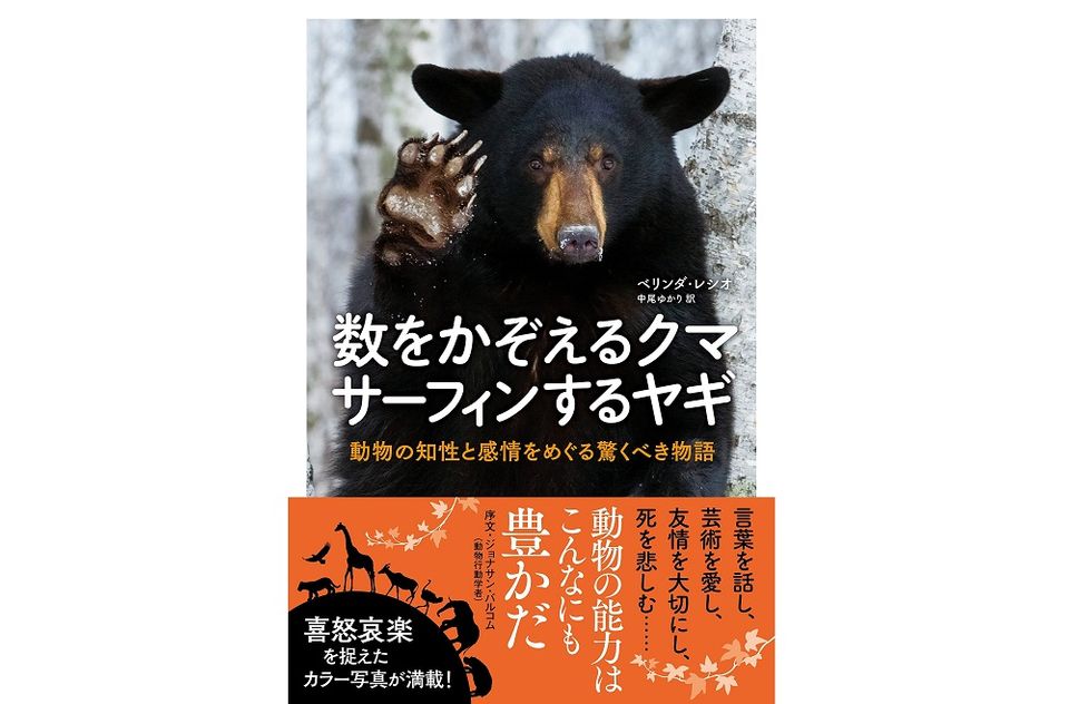 名詞、形容詞、動詞と副詞まで 鳴き声の変化で分かった「会話をする動物」とは?