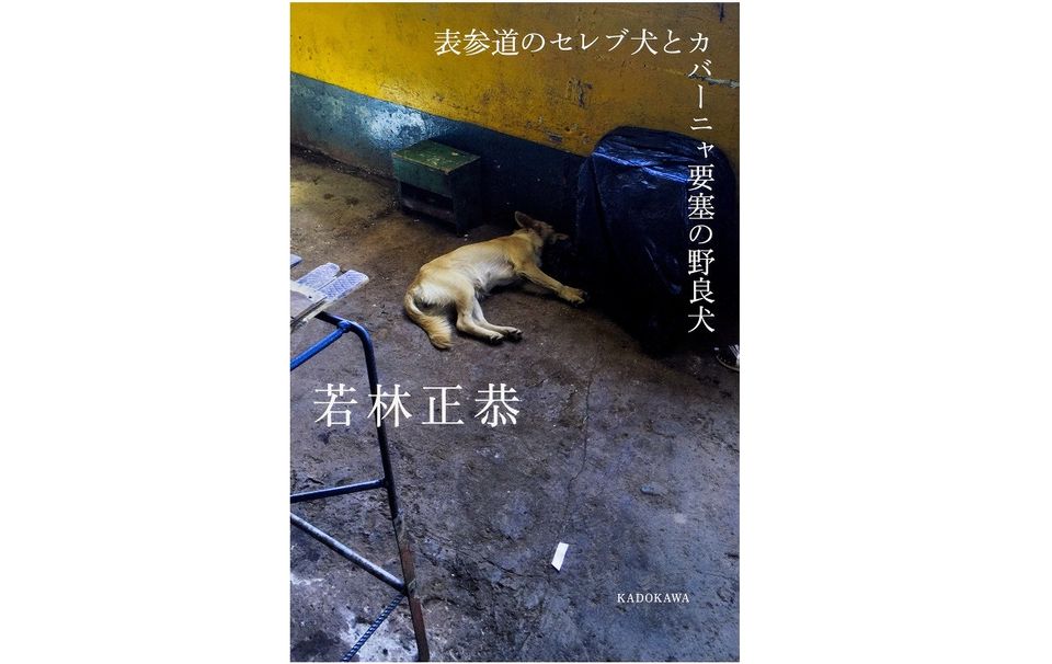 オードリー若林がキューバ一人旅で見つけた、本当の人間の姿