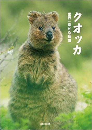 これはリアル ピカチュウ か 笑顔を浮かべる動物 クオッカ が可愛い 新刊jp