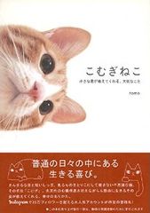 世界27万人以上の人に見守られているネコとは?
