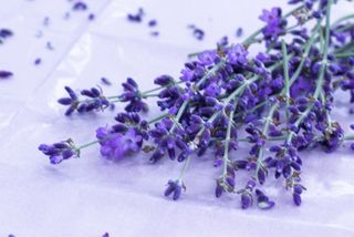 心のイライラやモヤモヤを解消する「FAP療法」とは(*画像はイメージです)