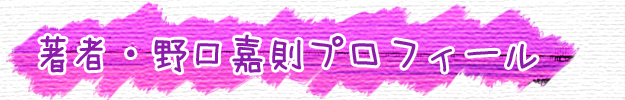 野口嘉則プロフィール