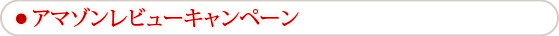 アマゾンレビューキャンペーン