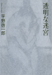 『透明な迷宮』 書籍画像