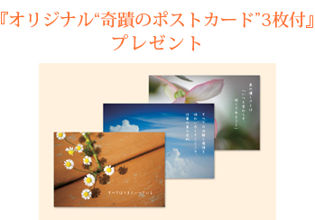 『オリジナル“奇蹟のポストカード”3枚付』プレゼント