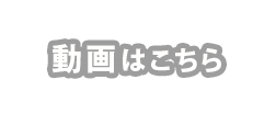 動画はこちら