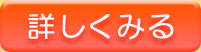 結果の詳細