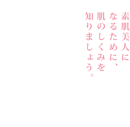 「素肌美人をつくるトータルスキンケアBOOK」