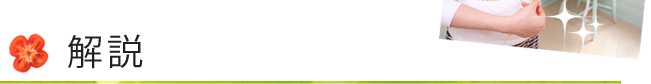 解説