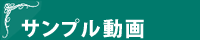 サンプル動画