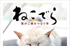 ねこでら 猫がご縁をつなぐ寺