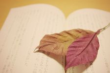 インスタで映える！　秋の読書を彩る落ち葉型「オリジナルしおり」を作ってみた