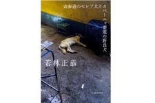 『表参道のセレブ犬とカバーニャ要塞の野良犬』（KADOKAWA刊）