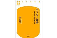 『ヤンキー経済 消費の主役・新保守層の正体』（幻冬舎刊）