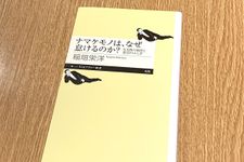 『ナマケモノは、なぜ怠けるのか？　生き物の個性と進化のふしぎ』（筑摩書房刊）