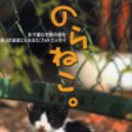 新刊ラジオ第214回 「のらねこ。」