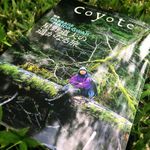 『Coyote』No.59 Summer／Autumn 2016