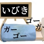 睡眠専門医が教える「いびき解消メソッド」とは（＊画像はイメージです）