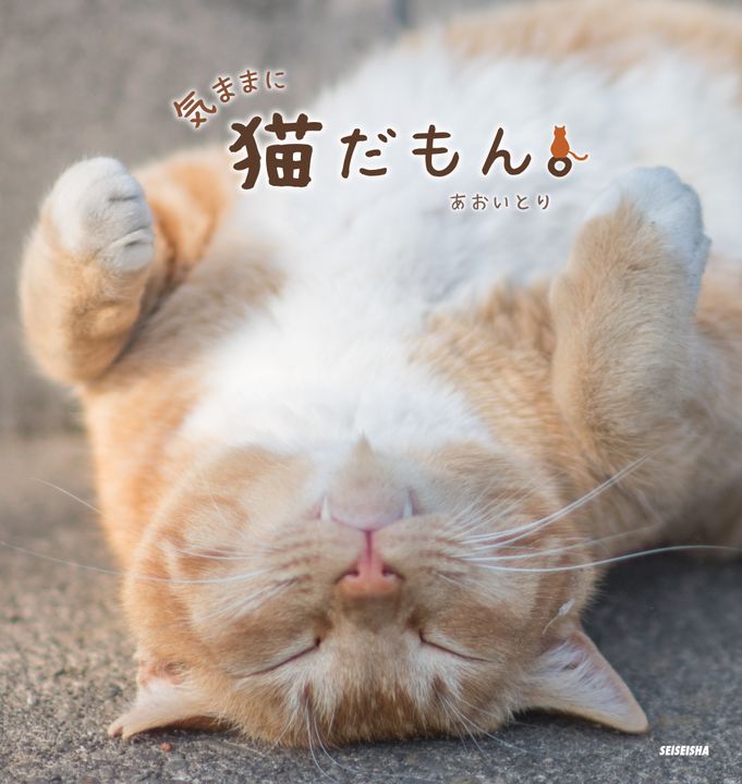 ツイッターで大人気「鼻提灯猫」の写真家が、“気ままなネコ”の写真集発売