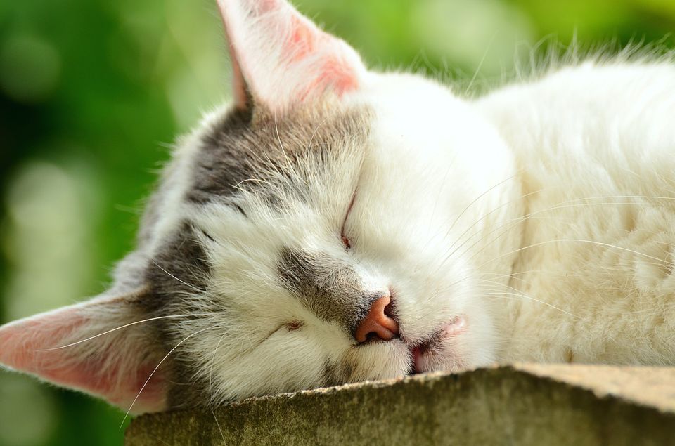 正月休み明けでなかなかモチベーションが上がらない人に やる気を出すための3つの技術