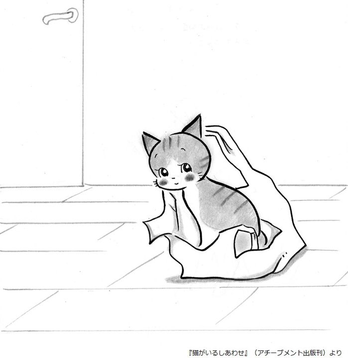 インスタで話題 心がほっこり 猫との暮らし つづるイラストエッセイ 新刊jp インスタで話題 心がほっこり 猫との暮らし つづるイラストエッセイ 新刊jp