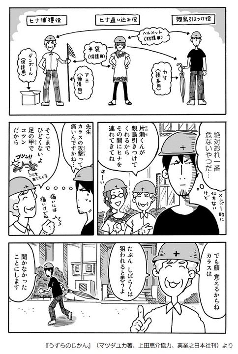 うずらの真の可愛さを 私たちはまだ知らない 新刊jp