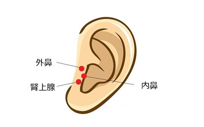 今すぐできる 鼻のトラブル に効くツボ 鼻は1分でよくなる 花粉症も鼻づまりも鼻炎も治る Bookウォッチ 今すぐできる 鼻のトラブル に効くツボ 鼻は1分でよくなる 花粉症も鼻づまりも鼻炎も治る Bookウォッチ