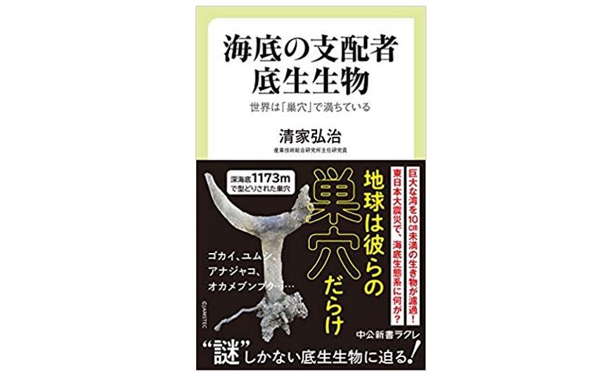 海の底は巣穴だらけ？　底生生物の不思議な生態