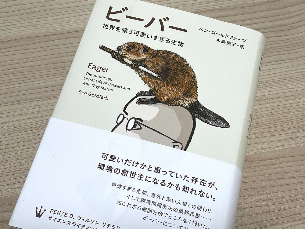 木をかじっているだけの可愛いあの動物が なぜ地球を救うのか 新刊jp 木をかじっているだけの可愛いあの動物が なぜ地球を救うのか 新刊jp