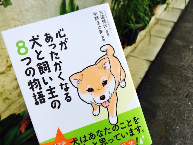 突然死んだ飼い主のおじいさんを想い続ける犬に感動 犬は飼い主を忘れない 新刊jp