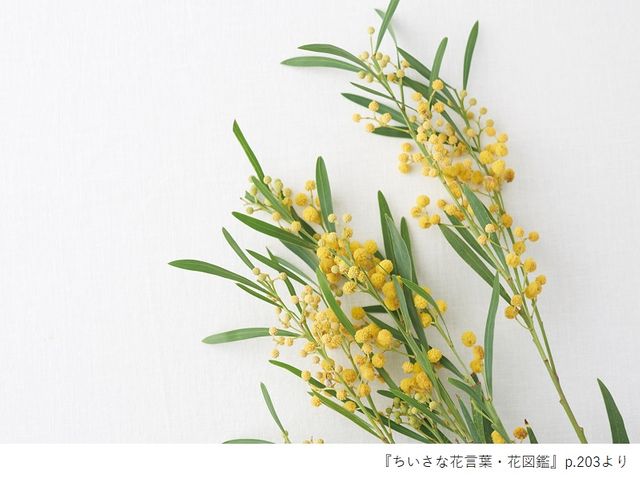 花言葉で 愛 を伝える 春のイベントで贈りたい花６選とその花言葉 新刊jp