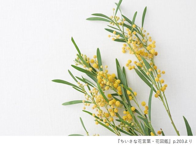 花言葉で 愛 を伝える 春のイベントで贈りたい花6選とその花言葉 新刊jp 花言葉で 愛 を伝える 春のイベントで贈りたい花6選とその花言葉 新刊jp