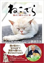 ネコ好きなら悶絶必至! お寺で暮らすネコの萌え顔をおさめた写真集