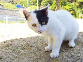 (撮影:ハチマル)
