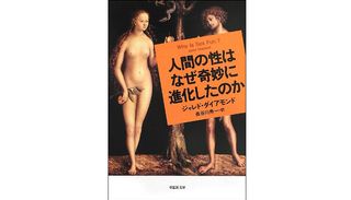 『文庫 人間の性はなぜ奇妙に進化したのか』ジャレド ダイアモンド著