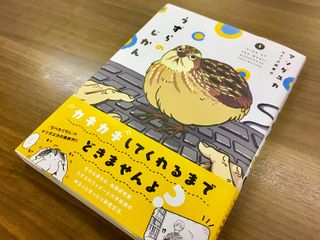 『うずらのじかん』（実業之日本社刊）