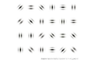 1日1回でOK! 話題の視力改善法「ガボールパッチ」に挑戦してみよう