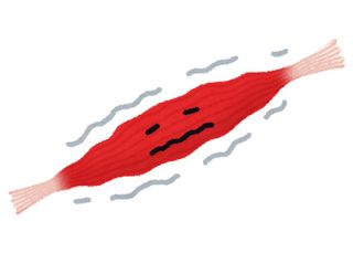 外出自粛の悪影響!!2週間で7年分の筋肉が失われる!?(*画像はイメージです)