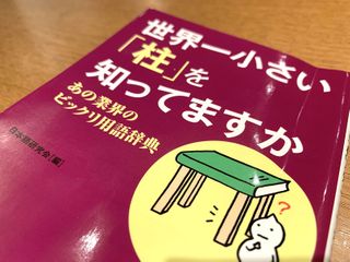 『世界一小さい「柱」を知っていますか　あの業界のビックリ用語辞典』（青春出版社刊）