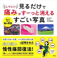 見るだけでしつこい痛みがすーっと消えるすごい写真