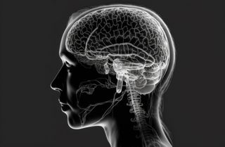 学生時代と同じ勉強法はNG!大人の脳に効果的な勉強法とは(*画像はイメージです)