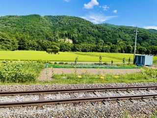 日本の自然を守るために知るべき3つの問題点(*画像はイメージです)