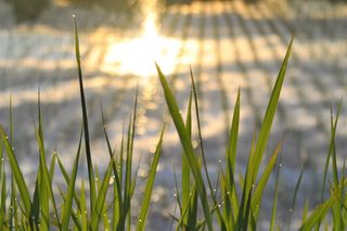 心身の好調の秘訣「リセットの習慣」のキモは?(*画像はイメージです)