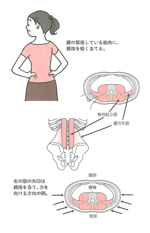 イラスト図解