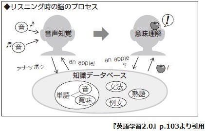 リスニング時の脳のプロセス