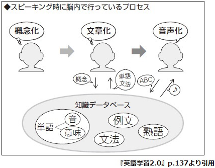 スピーキング時に脳内で行っているプロセス