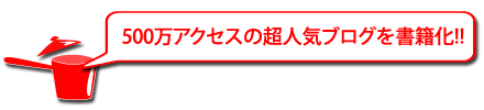 500万アクセスの超人気ブログを書籍化!!